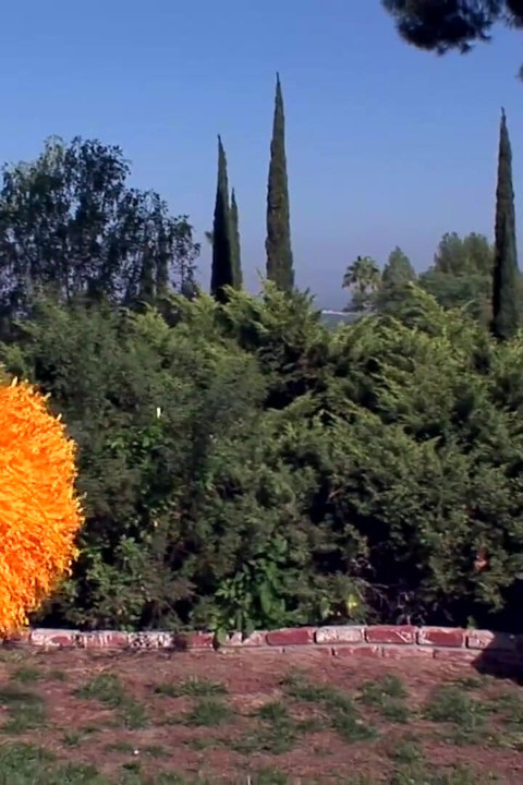Banged hot cheerleader in my garden!