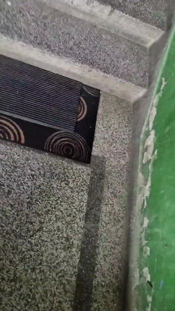 Zadivljujući trenutak iz "Debeli bugarski kurac postane tvrd u susjedstvu, a zatim svršava na ulazu u zgradu"