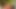 Büyük etli süngülü bir adam bu seksi sürtüklerin küçük göğüslerine boşalıyor