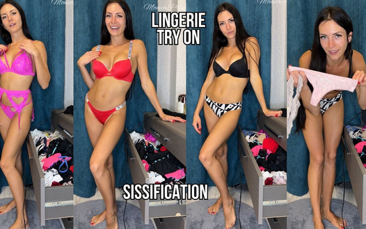 ビデオのプレビュー