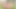 Trans Teen Ananda India Oils up for Masturbation