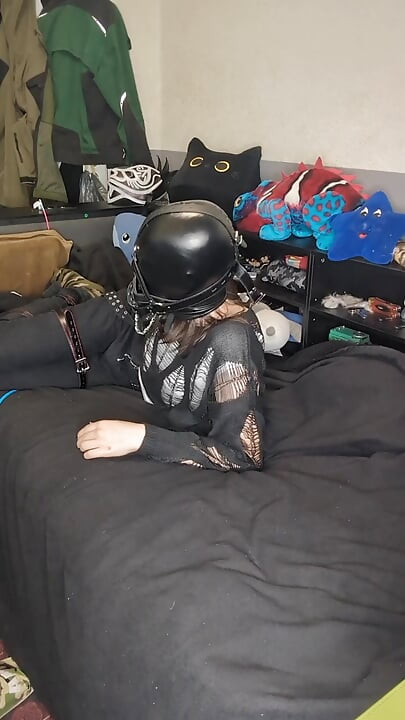 trying head harnes hogtie