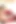 Siyah ve kırmızı karma rx yaramaz şeftalisiyle oynuyor