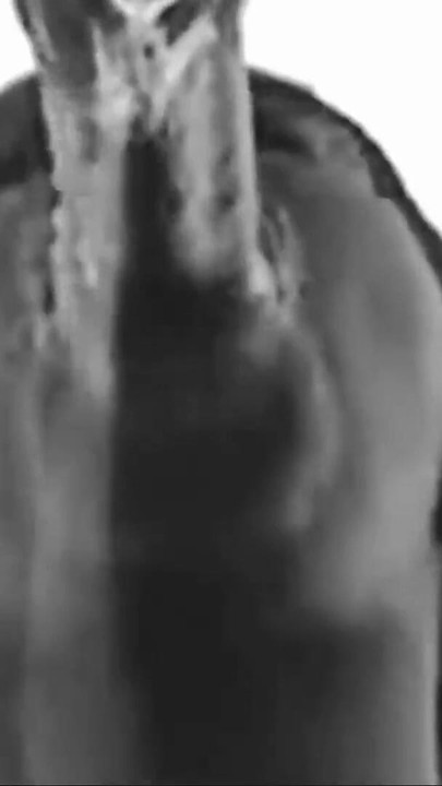 PERFECT LIPS-goes black an white with a ass sloppy MOUTH!!! | Clip 2