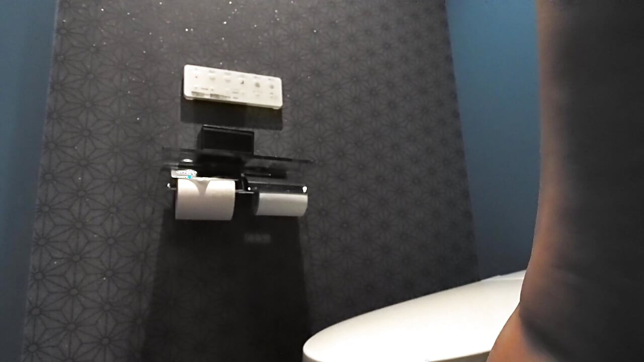 Various toilet scenes