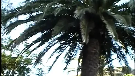 Sarışın ateşli kız sakso çekiyor ve açık havada sıcak yüze boşalma için pembe sert yarağa biniyor