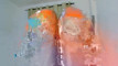 Pratinjau video