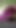 「Pretty little TGurl in her Pretty Purple Cum filled Dress」の驚愕の瞬間
