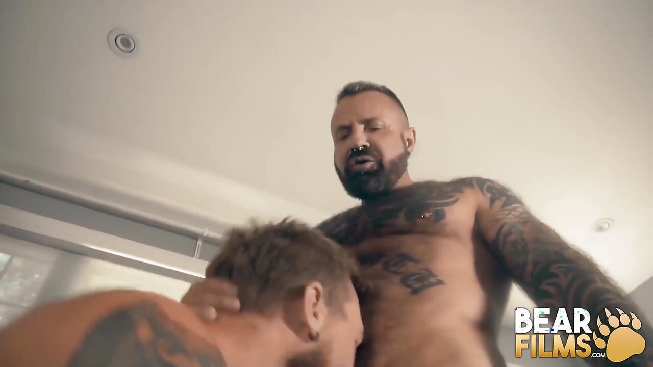 BEARFILMS - Tattooed bear Top breeds his hairy handsome lover