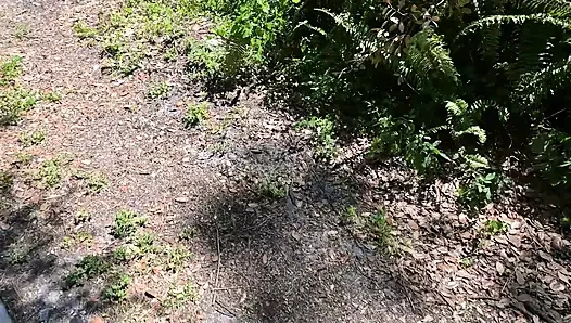 Ganzer tag-video