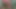 Bhabhi ko jungle and chudai nomita Bengali audio