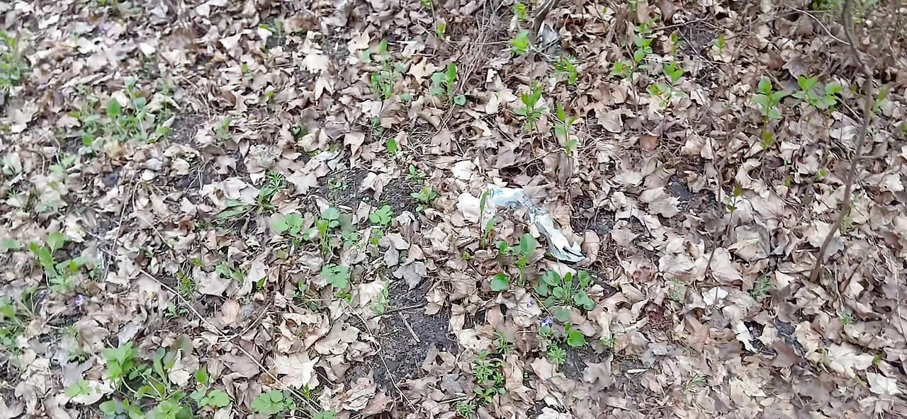 Eu faço xixi e fodo meu amante na boca na floresta para que minha esposa não nos pegue