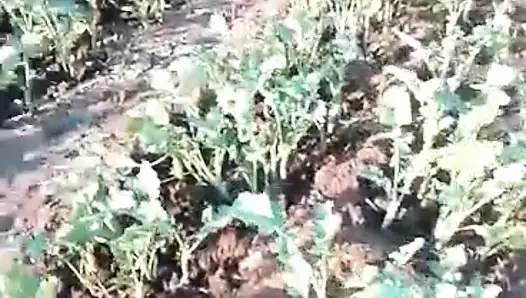 Afrikalı amatör çalının içinde çıplak