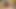 Satisfying BBW Buxom Bella with Tongue Before Giving Her Dick
