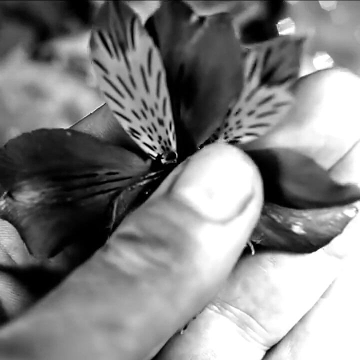 Hand Fetish - My Hands Destroying Flowers and Fruit