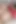 Indian Step Son Fucks Muslim Step Mother's Hairy Pussy