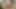 Gilf yardımcı olur üvey kız almak anal Gonzo
