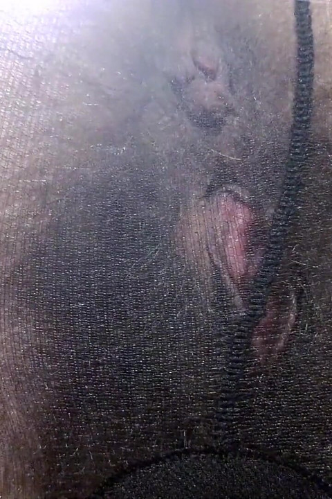 Offener Nasser Busch Und Behaarten Arsch in Strumpfhosen (nahaufnahme) Facesitting POV