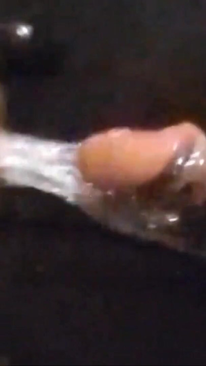PERFECT LIPS-made a sloppy mess slurping his dick it made him NUST! FAST!!! | Clip 1