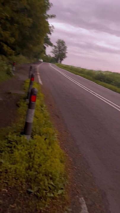 裸足で森を歩く