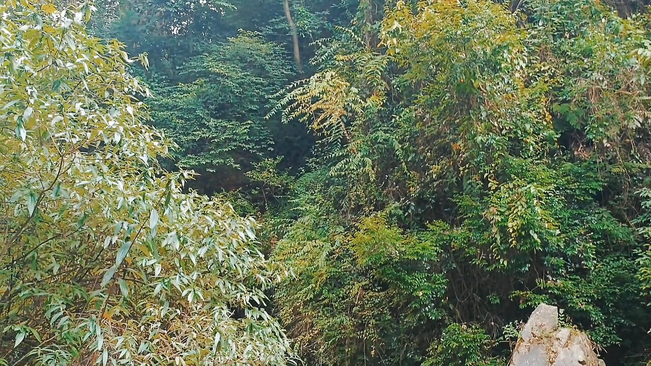 A wild boy masturbates, moaning and ejaculating by a stream in the deep mountains, and then eats his own semen