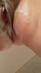 Pipa