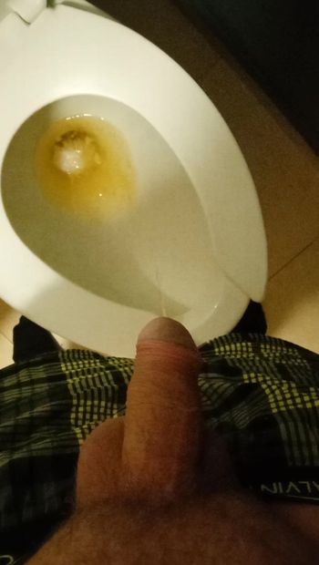 I wanted to piss in stepmother's soup, but it didn't work, I had to go to the toilet