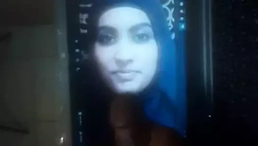 zypakislut00