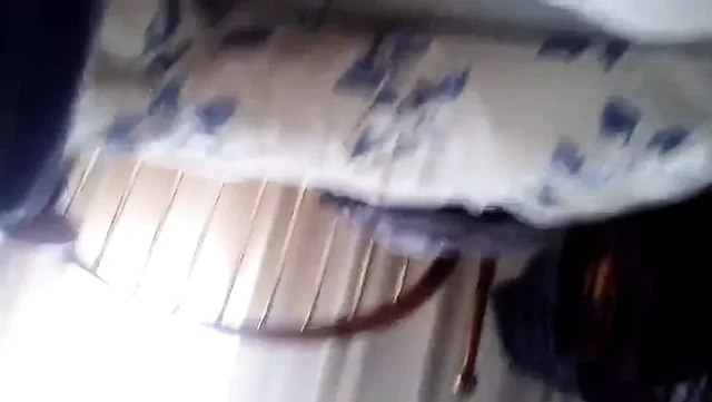Follando a cuatro patas