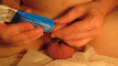 Pregled videozapisa