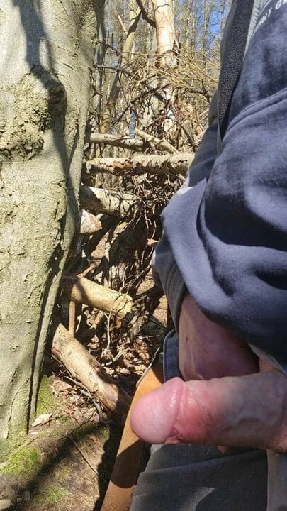 Im Wald