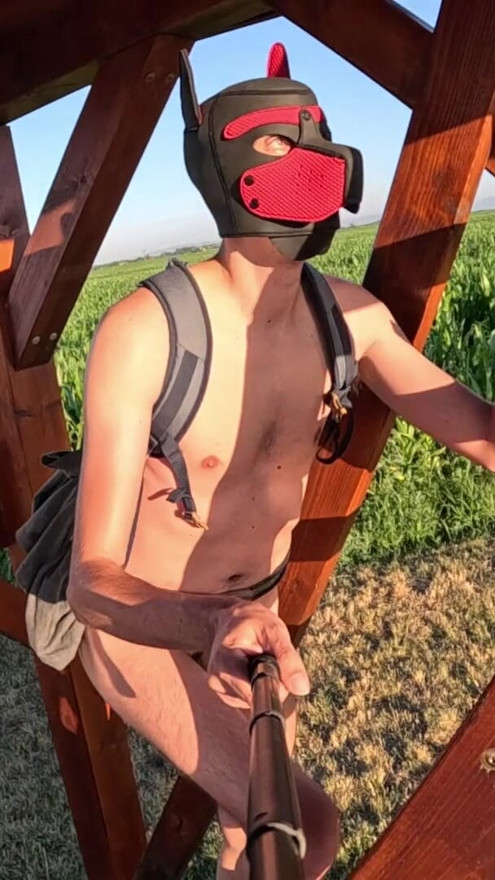 Climbing to a lookup tower with chastity belt
