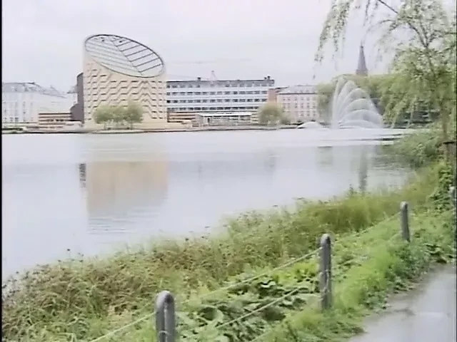 Baggaards porno 4 - Danish