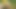 The mood of the sister-in-law who is walking in the open forest fields becomes to get rid of the sister-in-law sitting in the field and putting fingers in her ass pussyoutdoor