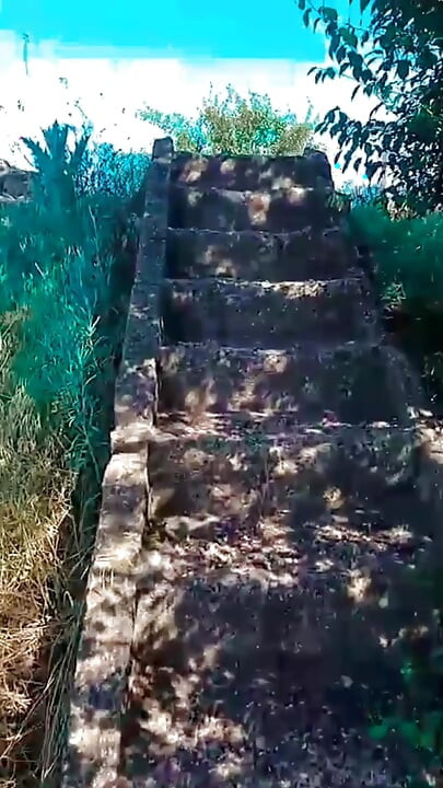 Video WillyAlexandruPetre