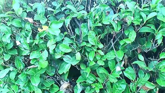 Video rekaman seks bareng gadis nakal rambut pirang dan berbulu dientot habis-habisan sama pacarnya