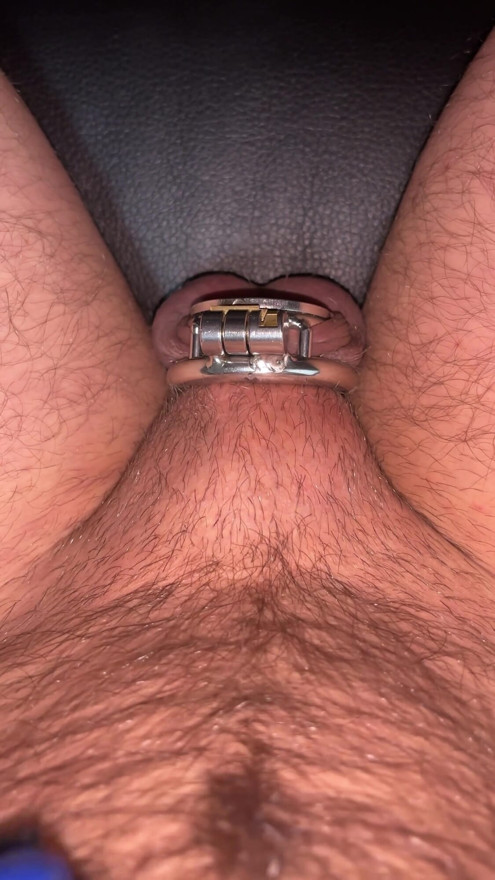 Putting big dick in flat chastity cage with penis plug | Clip 2