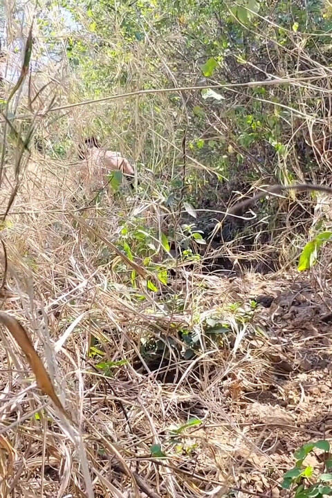 森で元カノとセックスした