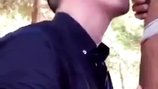 Cruising in the park