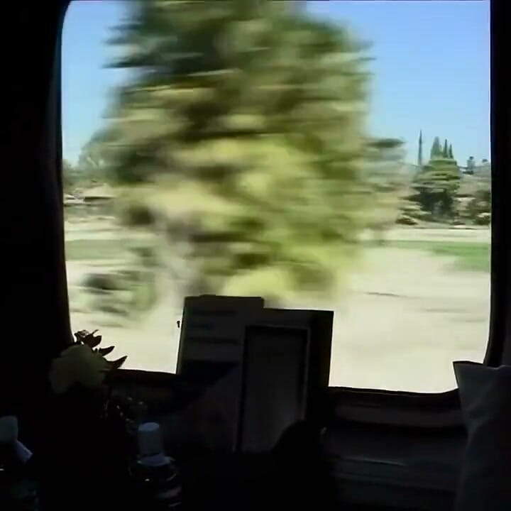 Just a Young Bitch XXX