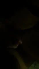 Jerking her lovers cock