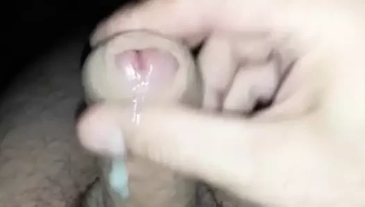 Minik horoz küçük sperm