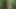 I like masturbating and cursing in the woods