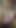 My huge Dick