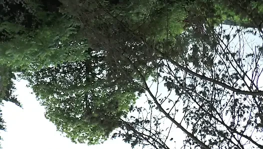 Olgun Kızlar Bahçede Birbirlerine Mastürbasyon Yapıyor Ve Birbirlerinin Vajinalarını Dildo Yapıyor