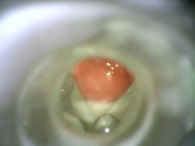 Internal Fleshlight Cum