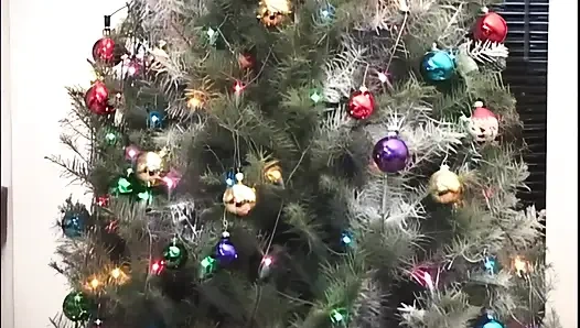 Киска, которую принес Санта-Клаус