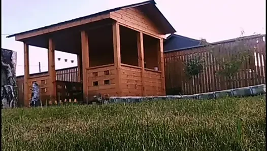 WilmaPetramale videosu