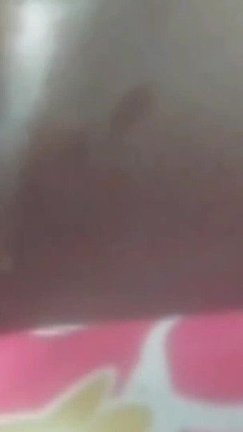 Käftande ögonblick från "styvdotter vill ha min stora kuk med att kyssa"