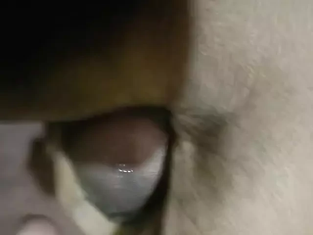 New xvideo